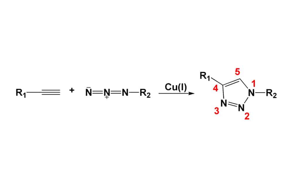 1.Cu-catalyzed cycloaddition reaction