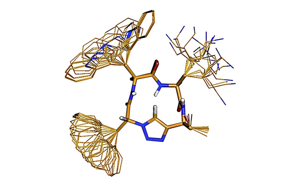 3.β-turn mimetic