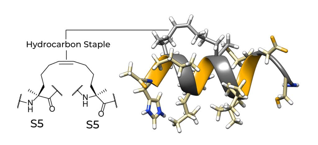 Stapled peptide