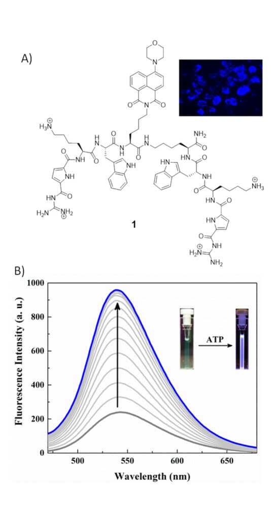 1.Fluoresence detection of Nucleoside triphosphates