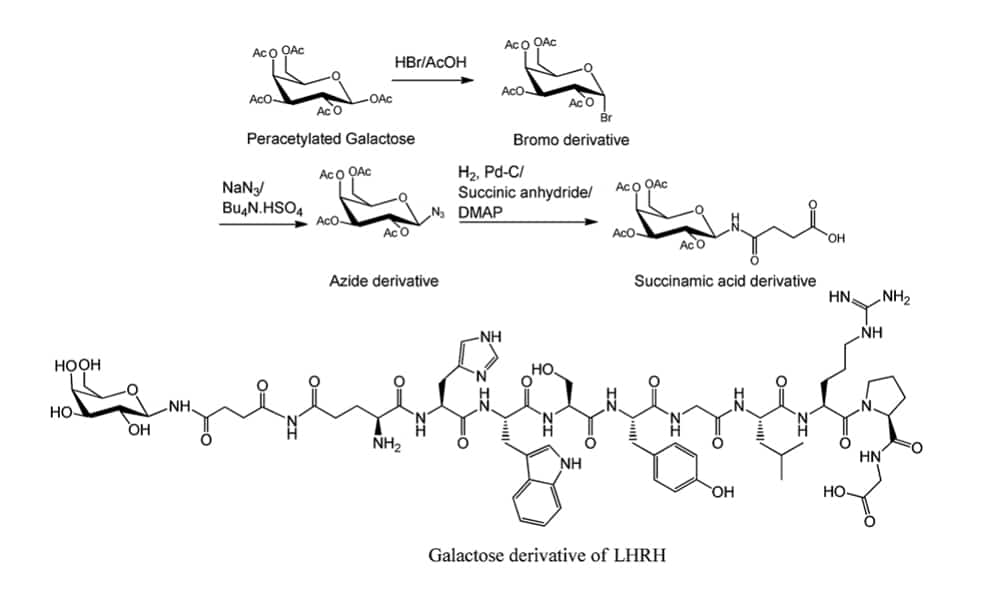 11. Galactose LHRH derivatives