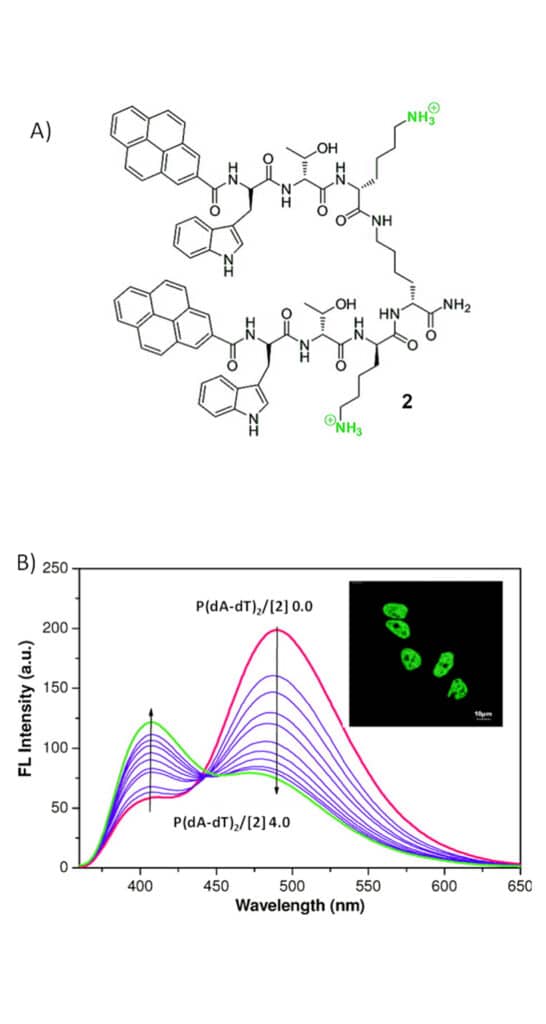 2.Fluorescence monitoring of nucleic acids