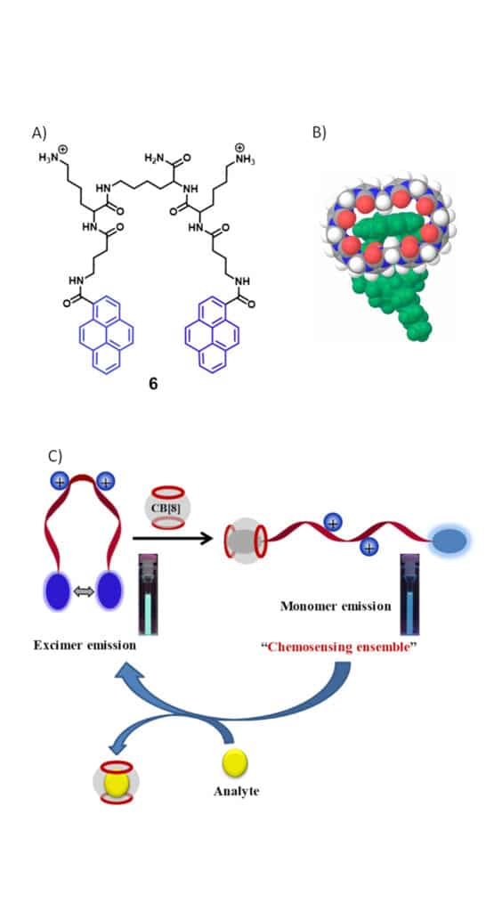 3. Radio-metric fluorescent detection of amino acid derivatives