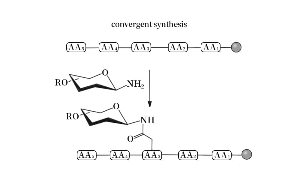 Glycosylation of Peptides - QYAOBIO