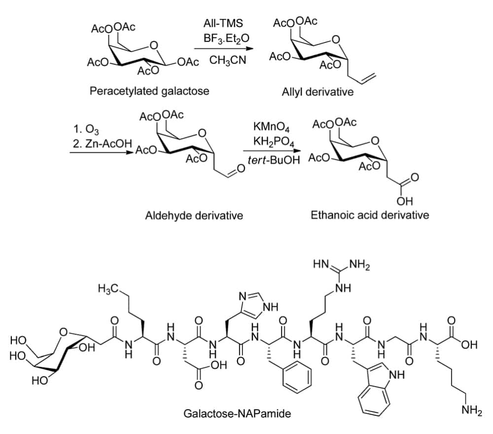 5.Galactose-NAPamide Synthesis