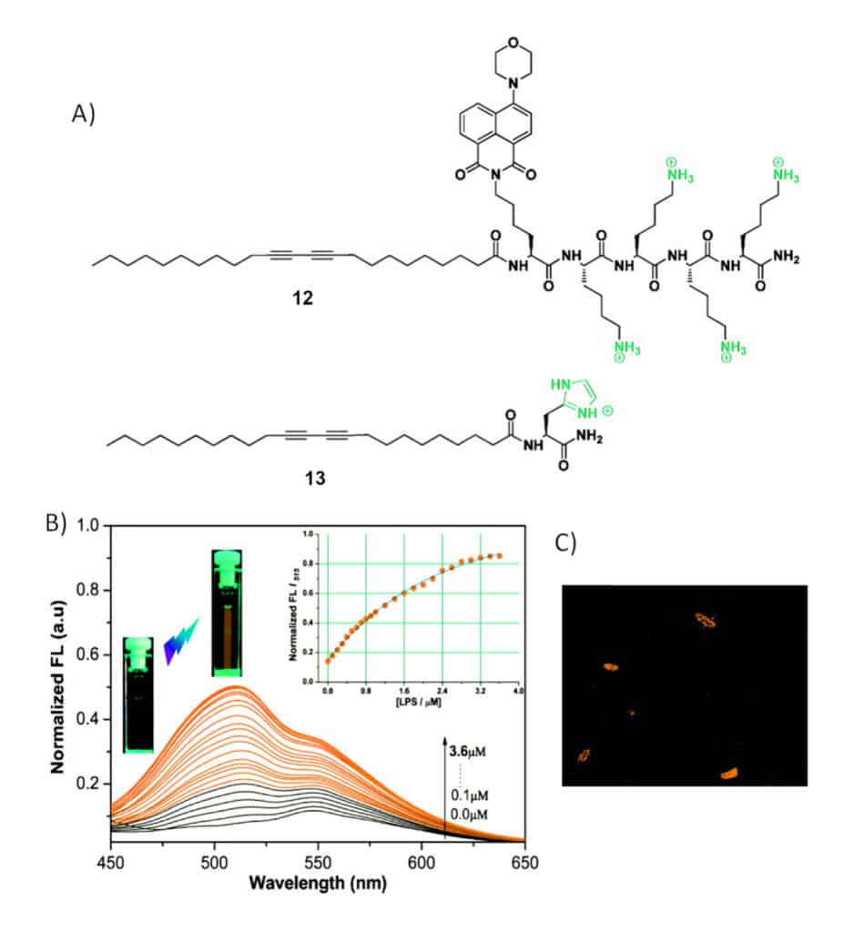 7.Fluorescent detection of LPS