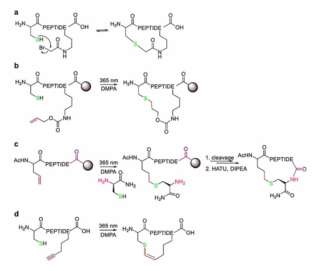 15. Thioether Cyclization