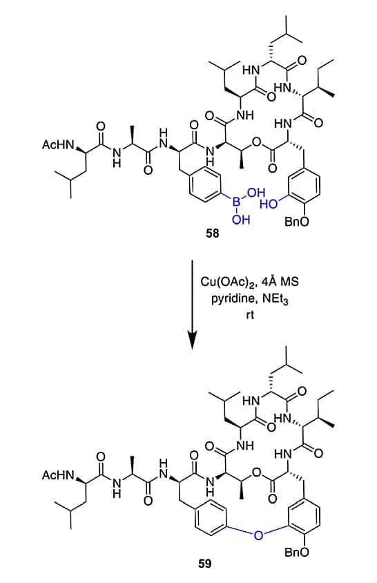 19. Cyclization by Evans-Chan-Lam