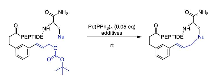 19. Cyclization by Evans-Chan-Lam