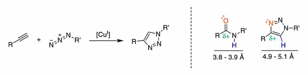 32.Azide-alkyne Cyclization