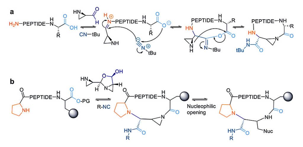 38. Ugi Reaction