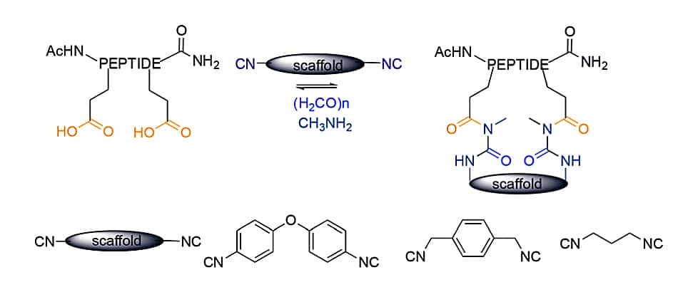 39. Four Component Ugi