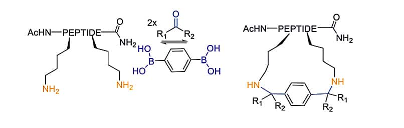 40. Petasis reaction