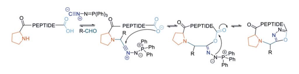 41. Multicomponent Marcocyclization