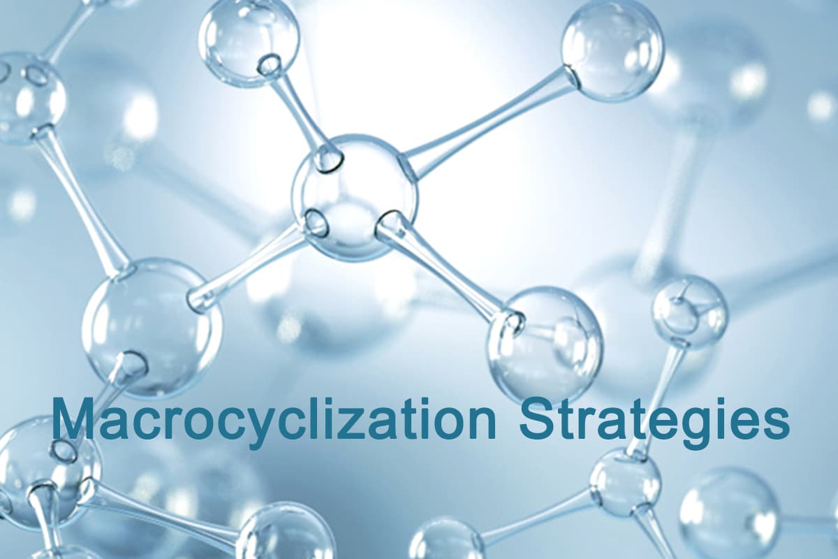 MacroCyclization Strategies