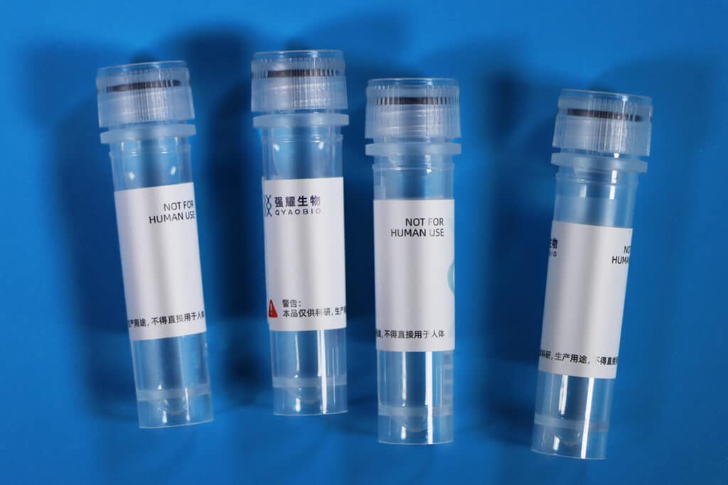 3.Recombinant Antibody 1200