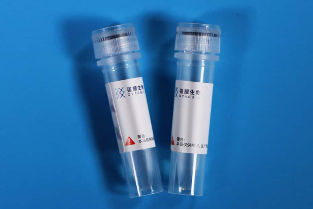 5.Loading Control Antibody 1200