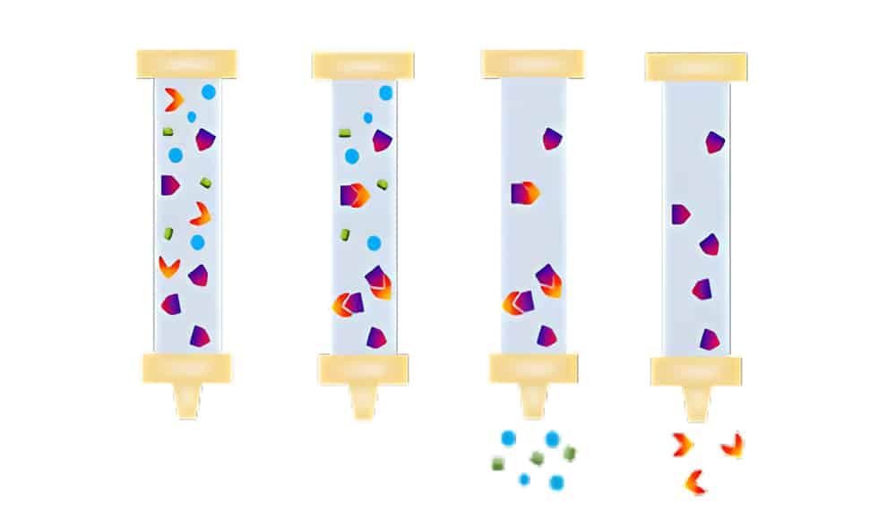 Hydrophobic interaction chromatography