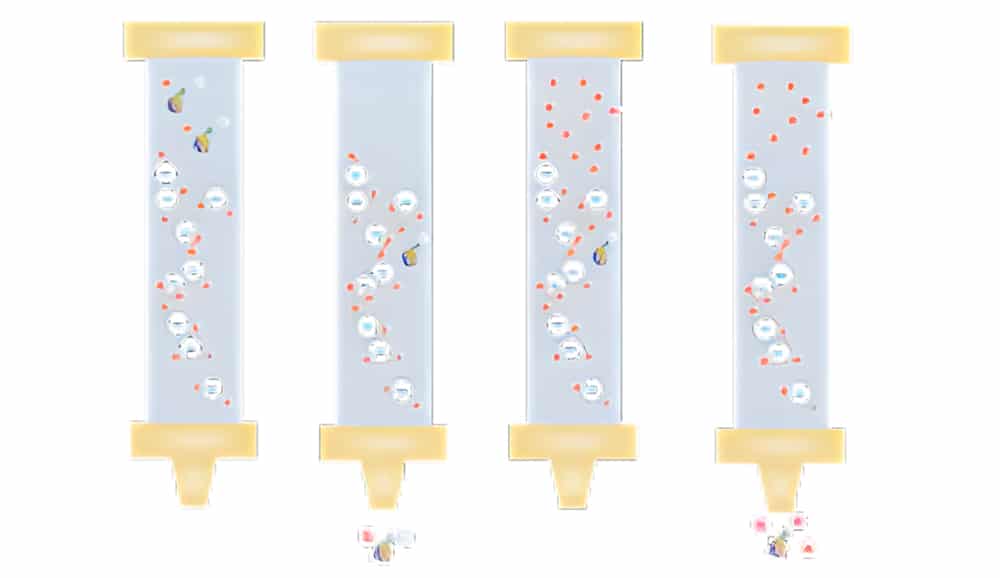 Ion-exchange chromatography