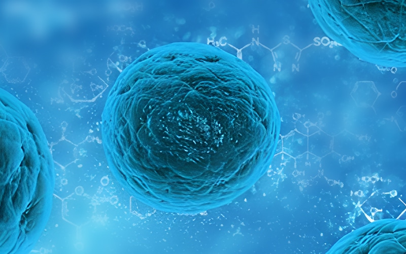 Mammalian Protein Expression - QYAOBIO