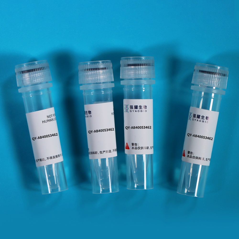 Anti-Glutathione S Transferase (GST) Tag Polyclonal Antibody