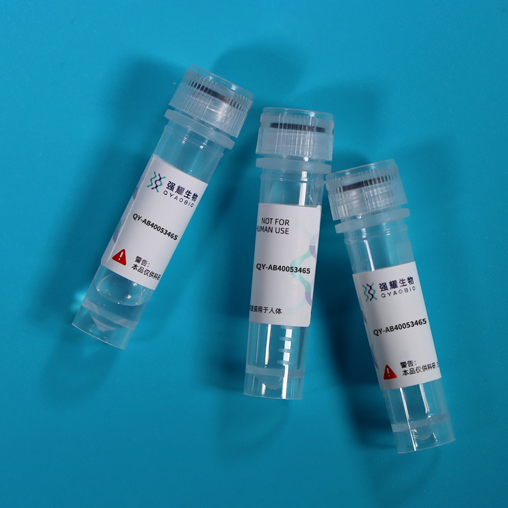 Anti-Fluorescein Isothiocyanate (FITC) Tag Monoclonal Antibody