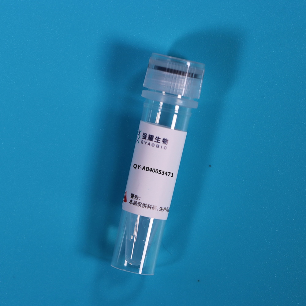 Anti-Hemagglutinin (HA) Tag Monoclonal Antibody