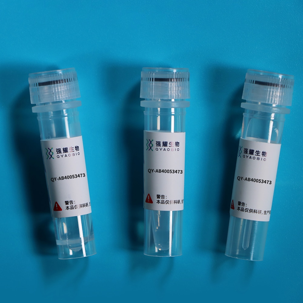 Anti-S15 Oligopeptide (S) Tag Monoclonal Antibody