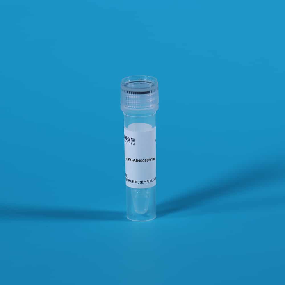 Anti-Motility Related Protein (MRP1) Monoclonal Antibody