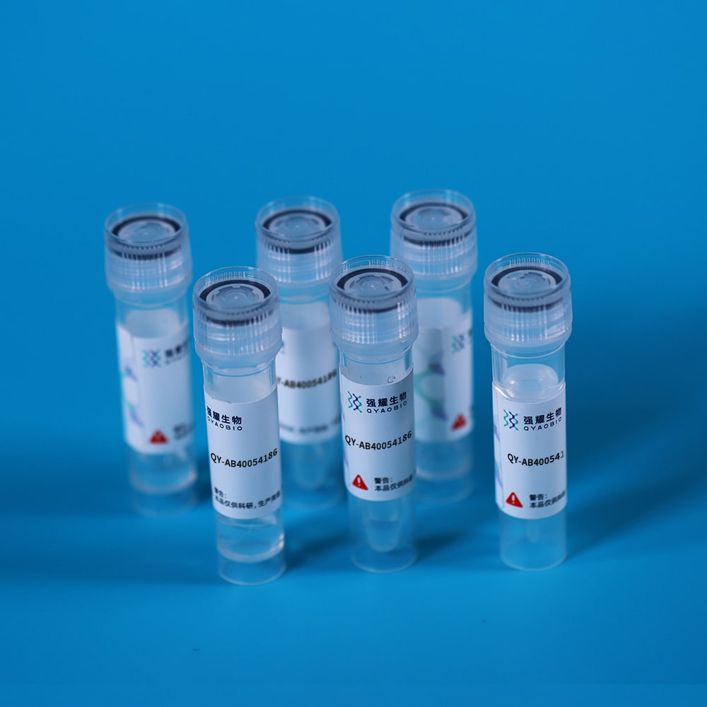 Monoclonal Antibody to Cyclic Adenosine Monophosphate (cAMP)