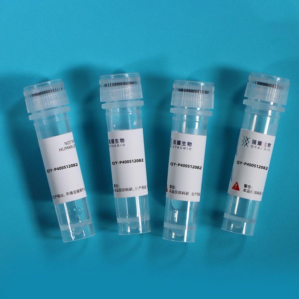 Recombinant Secreted And Transmembrane Protein 1 (SECTM1)