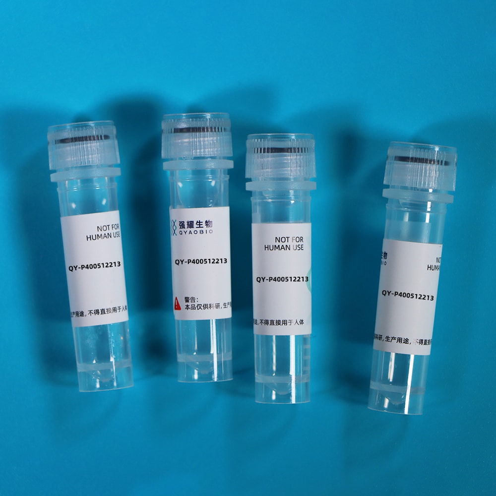 Recombinant Activated Leukocyte Cell Adhesion Molecule (ALCAM)