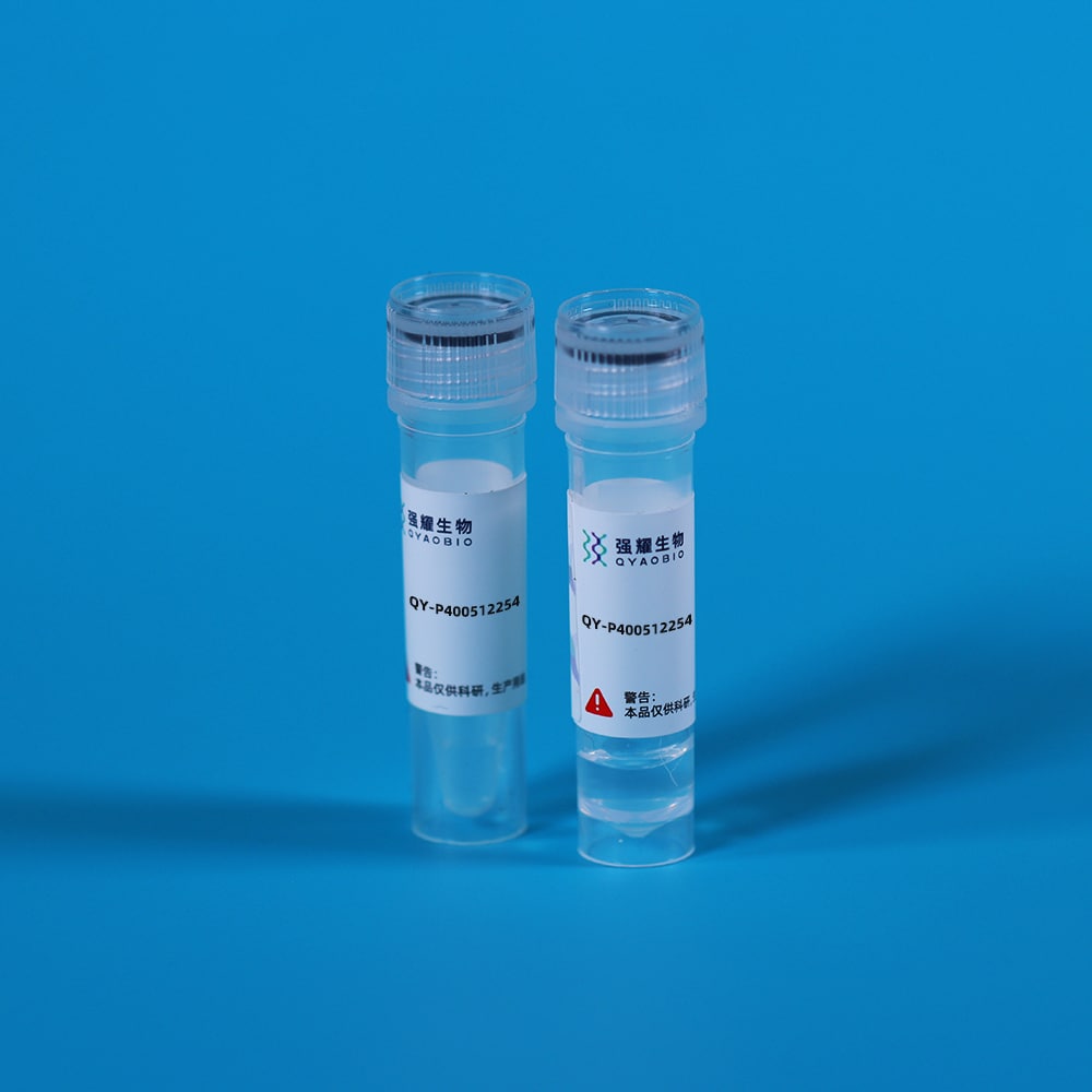 Recombinant Connective Tissue Growth Factor (CTGF)