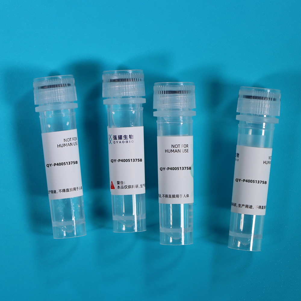 Recombinant Adiponectin (ADPN)