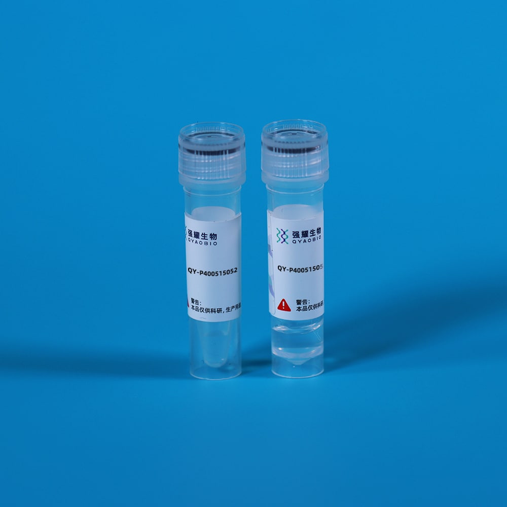 Recombinant Cluster Of Differentiation 3d (CD3d)