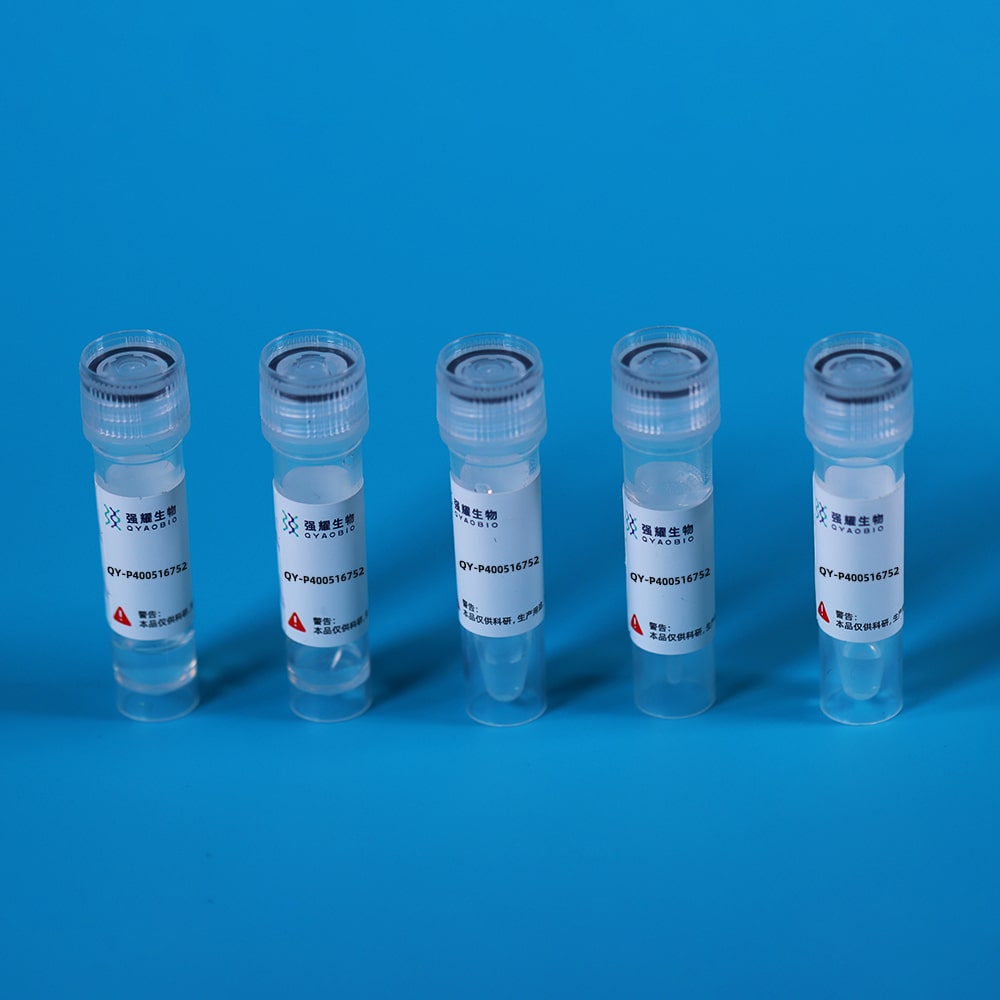 Recombinant Glutathione S Transferase Pi (GSTp)