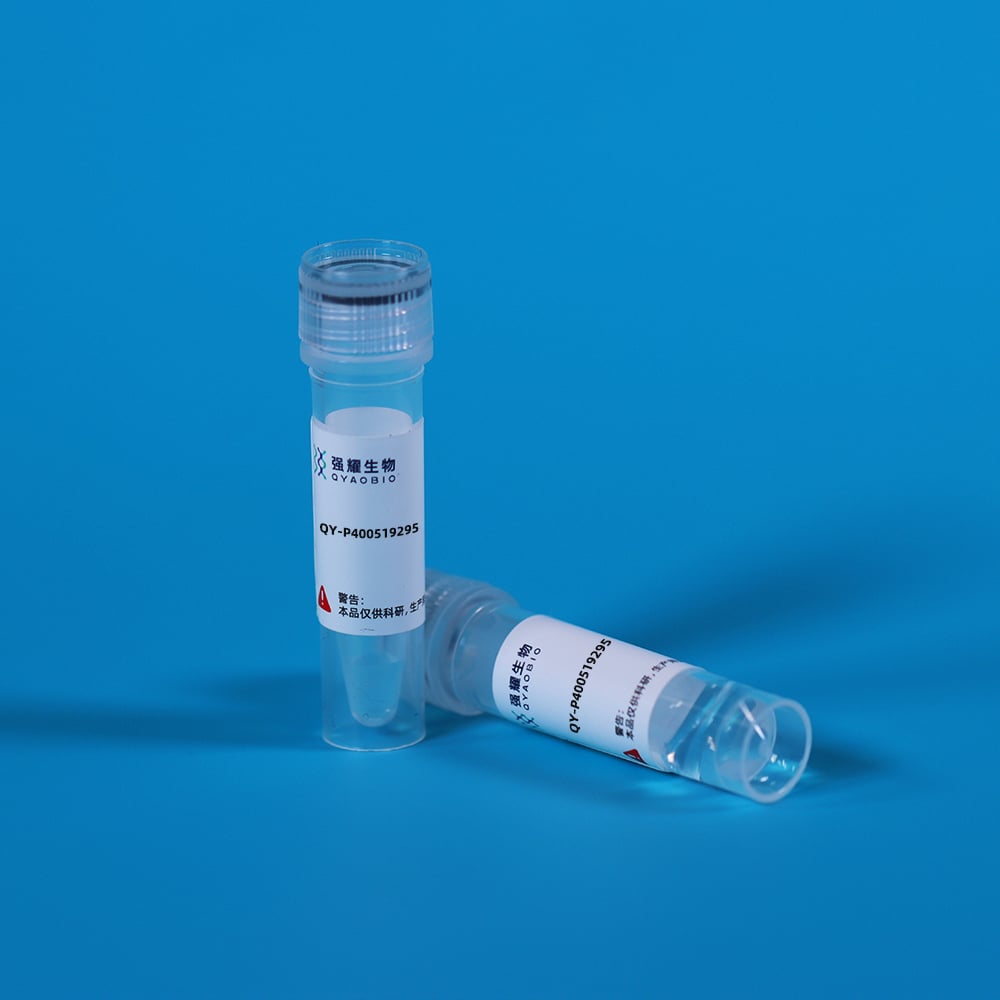 Recombinant 17-Beta-Hydroxysteroid Dehydrogenase Type 10 (HSD17b10)