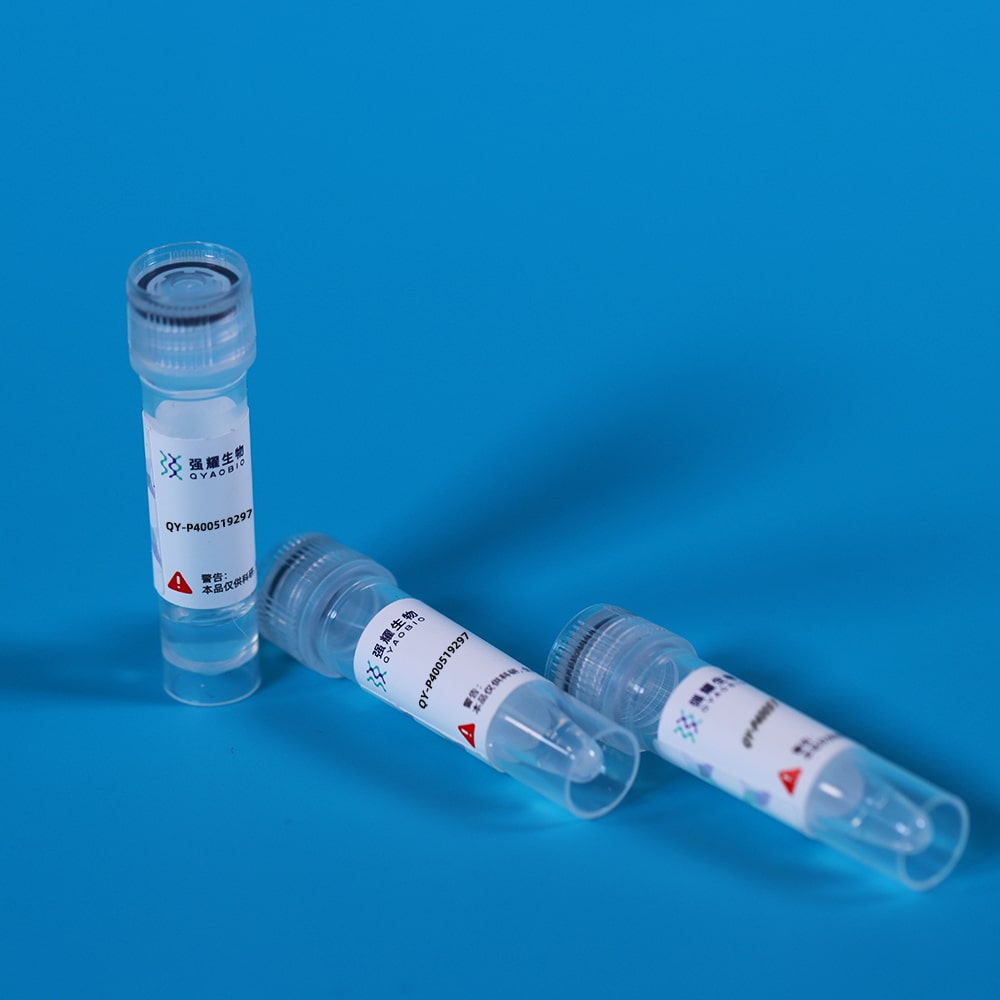 Recombinant 11-Beta-Hydroxysteroid Dehydrogenase Type 2 (HSD11b2)