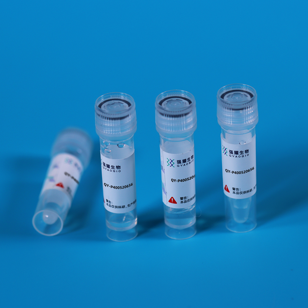 Recombinant Alpha-1-Acid Glycoprotein (a1AGP)