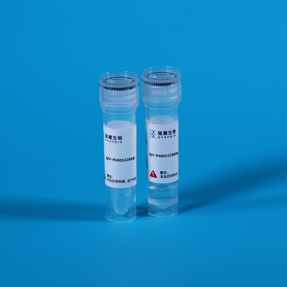 Recombinant Clusterin (CLU)