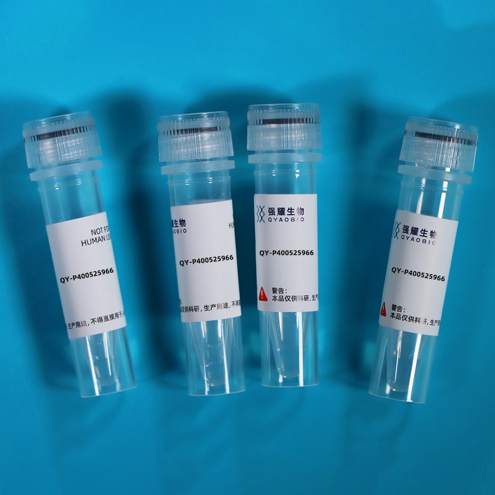 Recombinant Osteopetrosis Associated Transmembrane Protein 1 (OSTM1)