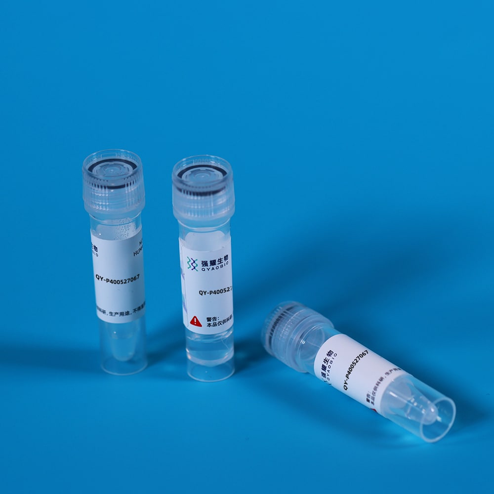 Recombinant 11-Beta-Hydroxysteroid Dehydrogenase Type 1 (HSD11b1)