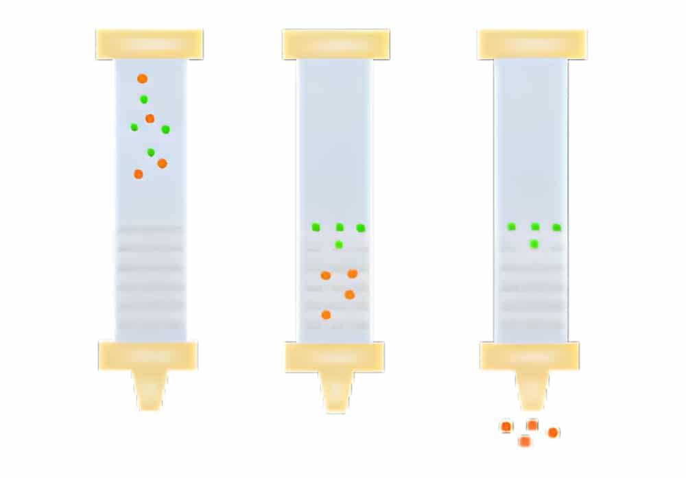 Size exclusion chromatography