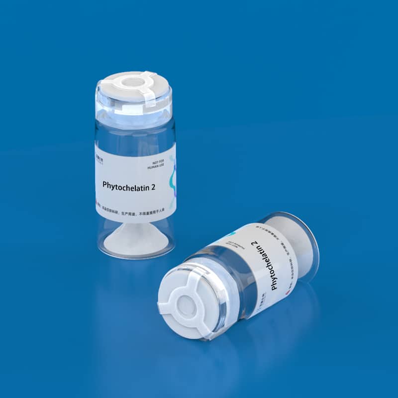 3.Phytochelatin 2