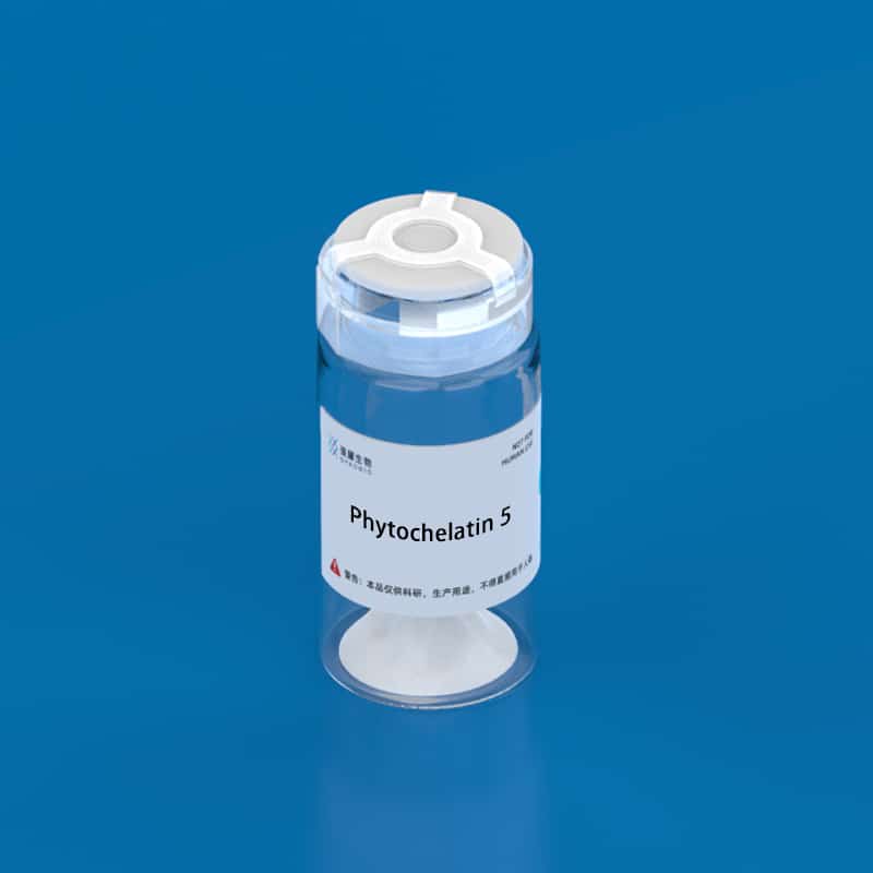 6.Phytochelatin 5