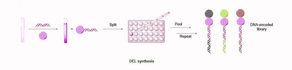 DNA-encoded Library Platform