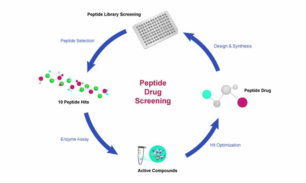 Peptide Drug Screening