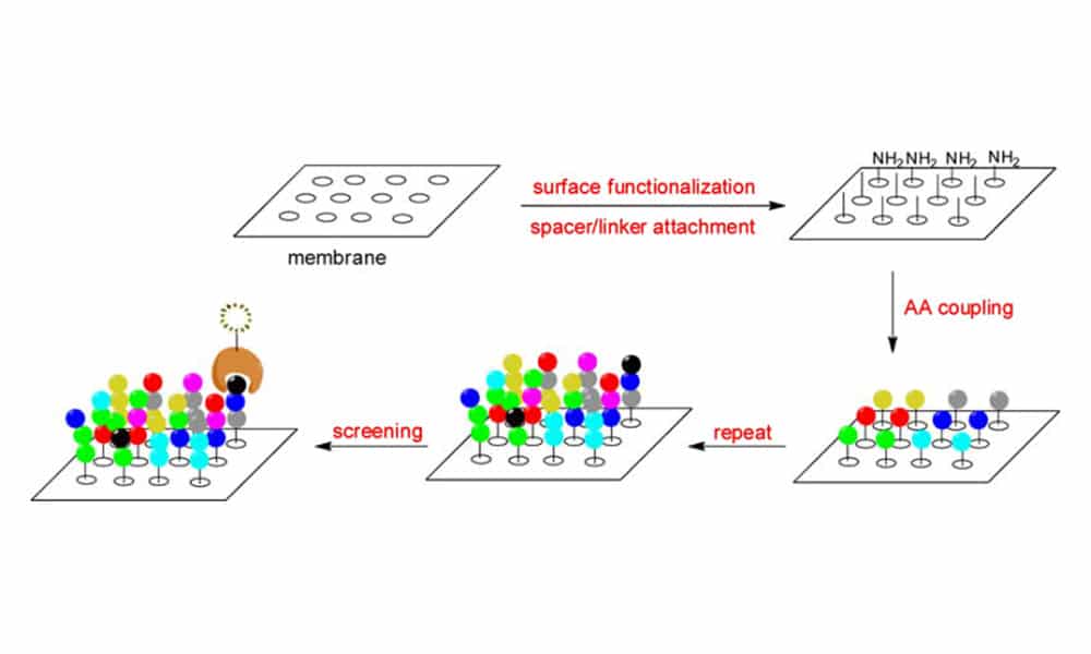 SPOT Synthesis