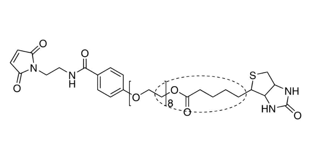 3.Bioavailability-in-PEG