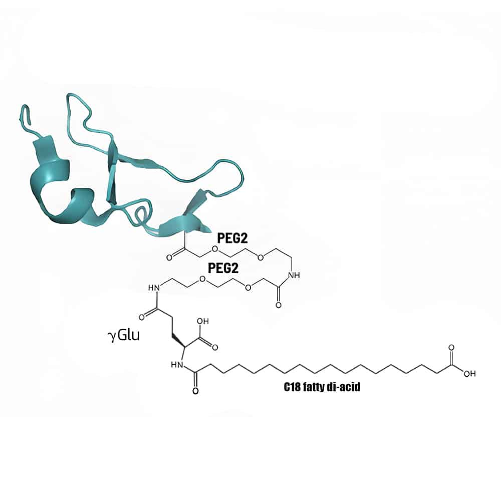 3.Lipid-peptide-conjugation